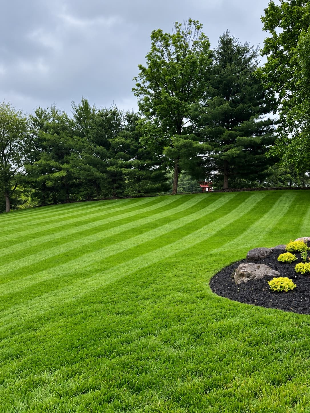 Striped lawn maintained by RM Landscape & Design LLC